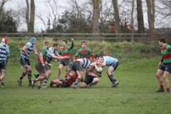 48672413-b36-9-1-20-dee-rugby